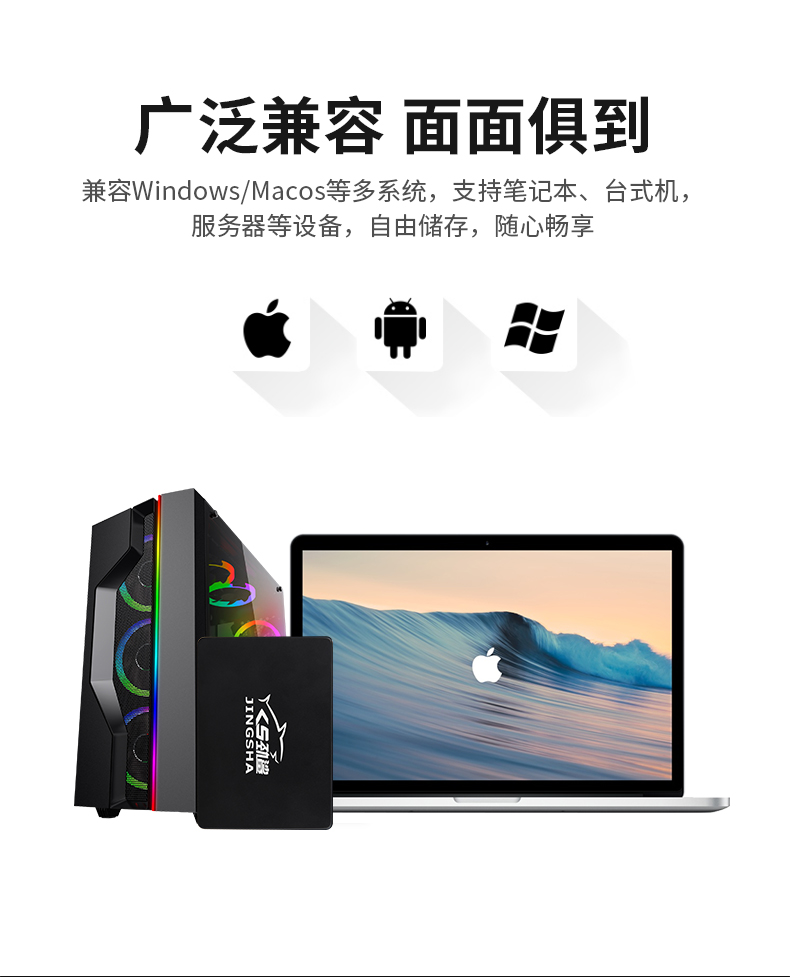 劲鲨固态硬盘X600